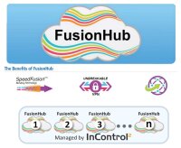 Peplink FusionHub Essential (5 Peers , 25Mbps Throughput)