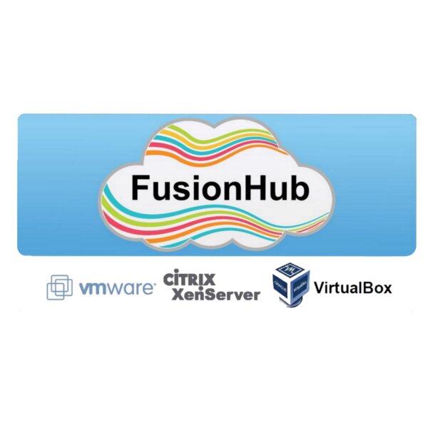 Peplink FusionHub 1000 (1000 Peers, 500Mbps Throughput)